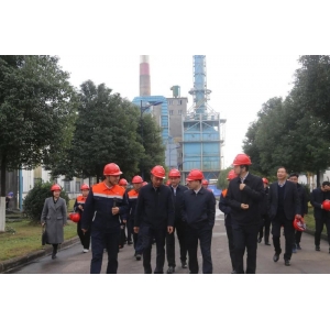 常德市长周振宇一行莅临腾鸿公司调研