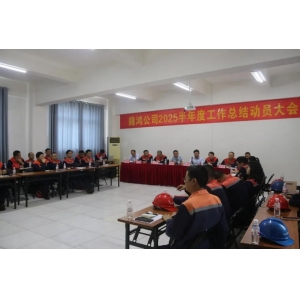  锚定目标 聚力攻坚——腾鸿公司召开2025半年度工作总结动